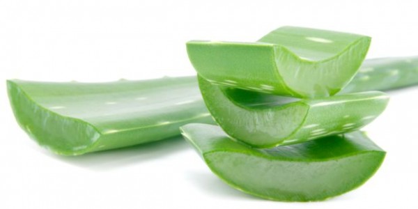 aloevera1